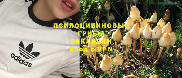 соль ск Абдулино