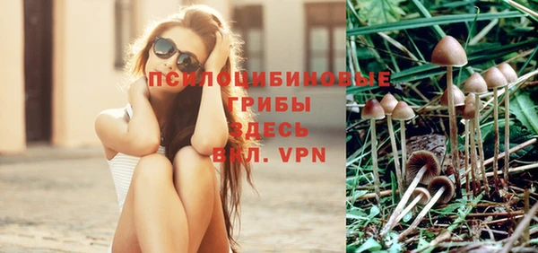 ешки Новодвинск