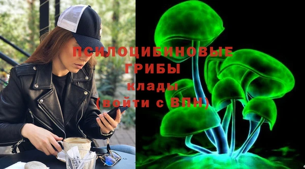 бошки Новозыбков