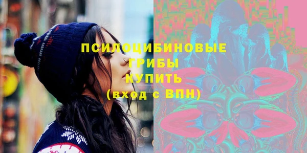 ешки Новодвинск